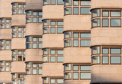 20241027-IMG 1060